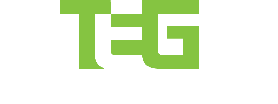 TEXAS ENERGY GROUP